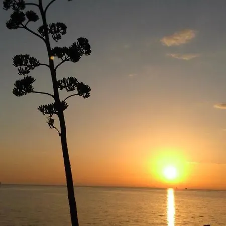 Scarlatti